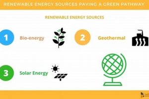 Top 4: What are Renewable Energy Sources? + Future Renewable Energy Solutions for a Sustainable Future | Clean & Green Power Top 4: What are Renewable Energy Sources? + Future | Renewable Energy Solutions for a Sustainable Future | Clean & Green Power
