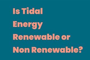 Is Tidal Energy Renewable or Non-renewable? Renewable Energy Solutions for a Sustainable Future | Clean & Green Power Is Tidal Energy Renewable or Non-renewable? | Renewable Energy Solutions for a Sustainable Future | Clean & Green Power