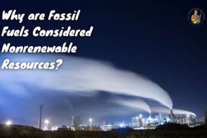 Why Fossil Fuels Aren't Renewable: Explained Renewable Energy Solutions for a Sustainable Future | Clean & Green Power Why Fossil Fuels Aren't Renewable: Explained | Renewable Energy Solutions for a Sustainable Future | Clean & Green Power