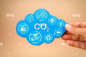 Harnessing Carbon Dioxide: Renewable Energy Source Renewable Energy Solutions for a Sustainable Future | Clean & Green Power Harnessing Carbon Dioxide: Renewable Energy Source | Renewable Energy Solutions for a Sustainable Future | Clean & Green Power