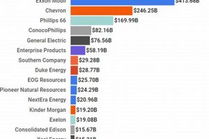 Top United States Renewable Energy Companies [Guide] | Renewable Energy Solutions for a Sustainable Future | Clean & Green Power