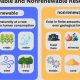 Is Air a Renewable Resource? Exploring Air's Sustainability | Renewable Energy Solutions for a Sustainable Future | Clean & Green Power