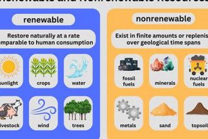 Best Renewable vs. Nonrenewable Energy Sources Compared Renewable Energy Solutions for a Sustainable Future | Clean & Green Power Best Renewable vs. Nonrenewable Energy Sources Compared | Renewable Energy Solutions for a Sustainable Future | Clean & Green Power