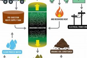 Is Waste To Energy Renewable Renewable Energy Solutions for a Sustainable Future | Clean & Green Power Is Waste To Energy Renewable | Renewable Energy Solutions for a Sustainable Future | Clean & Green Power