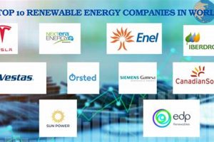 Who Leads the Green Revolution? Top Renewable Energy Companies Today Renewable Energy Solutions for a Sustainable Future | Clean & Green Power Who Leads the Green Revolution? Top Renewable Energy Companies Today | Renewable Energy Solutions for a Sustainable Future | Clean & Green Power