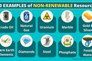 Top 10 Non Renewable Resources: Examples & Impact Renewable Energy Solutions for a Sustainable Future | Clean & Green Power Top 10 Non Renewable Resources: Examples & Impact | Renewable Energy Solutions for a Sustainable Future | Clean & Green Power