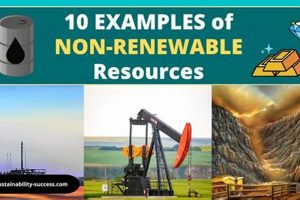 Non Renewable Resources: Examples, Impacts & Future Renewable Energy Solutions for a Sustainable Future | Clean & Green Power Non Renewable Resources: Examples, Impacts & Future | Renewable Energy Solutions for a Sustainable Future | Clean & Green Power