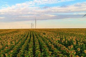 Amazon's Renewable Energy Purchases: A Green Future Renewable Energy Solutions for a Sustainable Future | Clean & Green Power Amazon's Renewable Energy Purchases: A Green Future | Renewable Energy Solutions for a Sustainable Future | Clean & Green Power