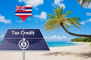 Hawaii Renewable Energy Tax Credit Guide 2024 Renewable Energy Solutions for a Sustainable Future | Clean & Green Power Hawaii Renewable Energy Tax Credit Guide 2024 | Renewable Energy Solutions for a Sustainable Future | Clean & Green Power