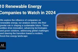 Top Renewable Energy Companies to Watch in 2024 Renewable Energy Solutions for a Sustainable Future | Clean & Green Power Top Renewable Energy Companies to Watch in 2024 | Renewable Energy Solutions for a Sustainable Future | Clean & Green Power