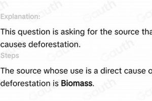 Stop! The Source Whose Use Directly Causes Deforestation? Renewable Energy Solutions for a Sustainable Future | Clean & Green Power Stop! The Source Whose Use Directly Causes Deforestation? | Renewable Energy Solutions for a Sustainable Future | Clean & Green Power