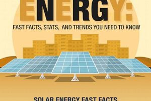 Unveiling Renewable Energy: Solar Energy Facts & Future Renewable Energy Solutions for a Sustainable Future | Clean & Green Power Unveiling Renewable Energy: Solar Energy Facts & Future | Renewable Energy Solutions for a Sustainable Future | Clean & Green Power