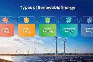 Top 5 Different Forms of Renewable Energy Explained Renewable Energy Solutions for a Sustainable Future | Clean & Green Power Top 5 Different Forms of Renewable Energy Explained | Renewable Energy Solutions for a Sustainable Future | Clean & Green Power