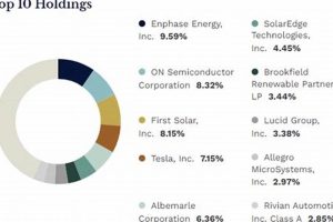 Top Renewable Energy Index Fund Investments Renewable Energy Solutions for a Sustainable Future | Clean & Green Power Top Renewable Energy Index Fund Investments | Renewable Energy Solutions for a Sustainable Future | Clean & Green Power