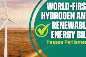 Global Renewable Energy Legislation: A Guide Renewable Energy Solutions for a Sustainable Future | Clean & Green Power Global Renewable Energy Legislation: A Guide | Renewable Energy Solutions for a Sustainable Future | Clean & Green Power