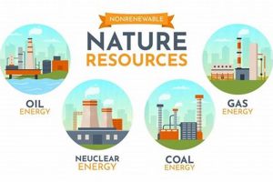 The Truth: Is Natural Gas a Renewable Resource? [Explained] | Renewable Energy Solutions for a Sustainable Future | Clean & Green Power