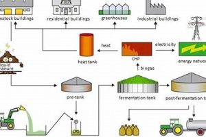 Waste to Energy: Renewable Source or Greenwash? Renewable Energy Solutions for a Sustainable Future | Clean & Green Power Waste to Energy: Renewable Source or Greenwash? | Renewable Energy Solutions for a Sustainable Future | Clean & Green Power