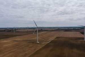 Seedless Plant Power: What Renewable Energy Source Is It? Renewable Energy Solutions for a Sustainable Future | Clean & Green Power Seedless Plant Power: What Renewable Energy Source Is It? | Renewable Energy Solutions for a Sustainable Future | Clean & Green Power