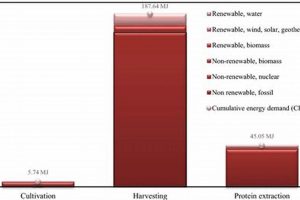 Impacts Of Non Renewable Energy Renewable Energy Solutions for a Sustainable Future | Clean & Green Power Impacts Of Non Renewable Energy | Renewable Energy Solutions for a Sustainable Future | Clean & Green Power