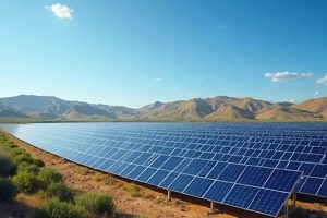Is Solar Renewable? Why Solar Energy's a Green Resource Renewable Energy Solutions for a Sustainable Future | Clean & Green Power Is Solar Renewable? Why Solar Energy's a Green Resource | Renewable Energy Solutions for a Sustainable Future | Clean & Green Power