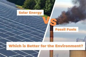 Why Fossil Fuels Are Better Than Renewable Energy Renewable Energy Solutions for a Sustainable Future | Clean & Green Power Why Fossil Fuels Are Better Than Renewable Energy | Renewable Energy Solutions for a Sustainable Future | Clean & Green Power