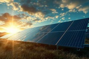 Is Solar Energy Renewable? Examining Sun Power's Future Renewable Energy Solutions for a Sustainable Future | Clean & Green Power Is Solar Energy Renewable? Examining Sun Power's Future | Renewable Energy Solutions for a Sustainable Future | Clean & Green Power