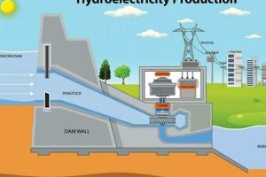 The Verdict: Is Hydro a Renewable Resource? [2024] | Renewable Energy Solutions for a Sustainable Future | Clean & Green Power