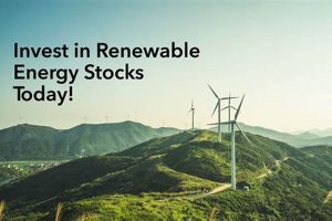 Why Renewable Energy Stocks Are Down [Analysis] | Renewable Energy Solutions for a Sustainable Future | Clean & Green Power