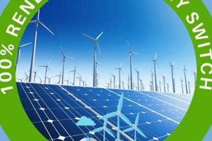Make the Switch: Renewable Energy Now Renewable Energy Solutions for a Sustainable Future | Clean & Green Power Make the Switch: Renewable Energy Now | Renewable Energy Solutions for a Sustainable Future | Clean & Green Power