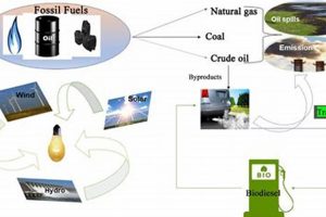 Powering a Sustainable Future: The Renewable Energy Transition Renewable Energy Solutions for a Sustainable Future | Clean & Green Power Powering a Sustainable Future: The Renewable Energy Transition | Renewable Energy Solutions for a Sustainable Future | Clean & Green Power