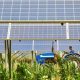 Renewable Energy In Agriculture | Renewable Energy Solutions for a Sustainable Future | Clean & Green Power