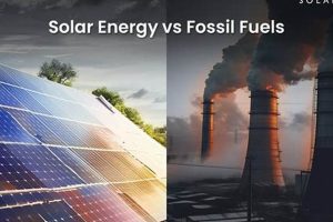 The Future of Energy: Fossil Fuels vs. Renewables Renewable Energy Solutions for a Sustainable Future | Clean & Green Power The Future of Energy: Fossil Fuels vs. Renewables | Renewable Energy Solutions for a Sustainable Future | Clean & Green Power