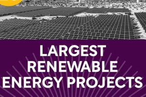 Top 10 Largest Renewable Energy Projects Today Renewable Energy Solutions for a Sustainable Future | Clean & Green Power Top 10 Largest Renewable Energy Projects Today | Renewable Energy Solutions for a Sustainable Future | Clean & Green Power