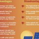Pros & Cons: Renewable Energy Solar Power Guide Today | Renewable Energy Solutions for a Sustainable Future | Clean & Green Power