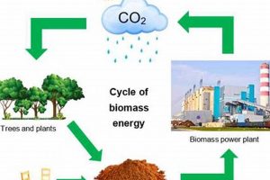 Bio Renewable Energy Renewable Energy Solutions for a Sustainable Future | Clean & Green Power Bio Renewable Energy | Renewable Energy Solutions for a Sustainable Future | Clean & Green Power