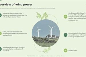 Global Energy Overview: A Comprehensive Guide Renewable Energy Solutions for a Sustainable Future | Clean & Green Power Global Energy Overview: A Comprehensive Guide | Renewable Energy Solutions for a Sustainable Future | Clean & Green Power