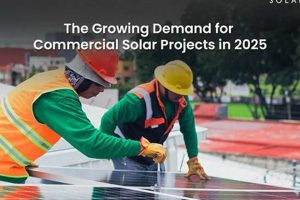 Powering the Future: Project 2025 Renewable Energy Initiatives Renewable Energy Solutions for a Sustainable Future | Clean & Green Power Powering the Future: Project 2025 Renewable Energy Initiatives | Renewable Energy Solutions for a Sustainable Future | Clean & Green Power