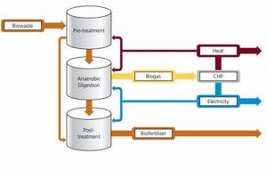 Harnessing Anaerobic Digestion for Renewable Energy | Renewable Energy Solutions for a Sustainable Future | Clean & Green Power