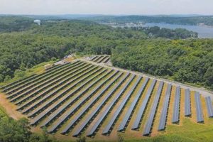 Understanding Your Greenbacker Renewable Energy K-1 Tax Form Renewable Energy Solutions for a Sustainable Future | Clean & Green Power Understanding Your Greenbacker Renewable Energy K-1 Tax Form | Renewable Energy Solutions for a Sustainable Future | Clean & Green Power