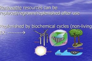 Guide to Resources That Can Be Replenished: Sustainability Tips Renewable Energy Solutions for a Sustainable Future | Clean & Green Power Guide to Resources That Can Be Replenished: Sustainability Tips | Renewable Energy Solutions for a Sustainable Future | Clean & Green Power