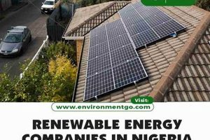 Top Renewable Energy Companies in Nigeria: Guide + More Renewable Energy Solutions for a Sustainable Future | Clean & Green Power Top Renewable Energy Companies in Nigeria: Guide + More | Renewable Energy Solutions for a Sustainable Future | Clean & Green Power