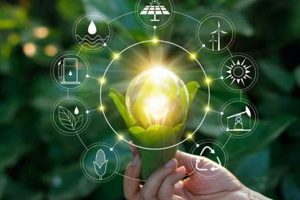 Top Renewable Energy Solution Companies: A Guide Renewable Energy Solutions for a Sustainable Future | Clean & Green Power Top Renewable Energy Solution Companies: A Guide | Renewable Energy Solutions for a Sustainable Future | Clean & Green Power