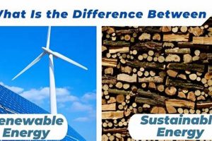 Renewable vs. Sustainable Energy: Key Differences Explained Renewable Energy Solutions for a Sustainable Future | Clean & Green Power Renewable vs. Sustainable Energy: Key Differences Explained | Renewable Energy Solutions for a Sustainable Future | Clean & Green Power