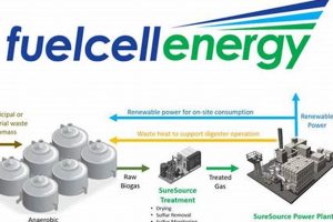 Is Fuel Cell Renewable Energy? A Clean Power Future Renewable Energy Solutions for a Sustainable Future | Clean & Green Power Is Fuel Cell Renewable Energy? A Clean Power Future | Renewable Energy Solutions for a Sustainable Future | Clean & Green Power