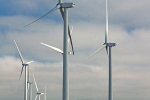 Top Renewable Energy Developers & Companies Renewable Energy Solutions for a Sustainable Future | Clean & Green Power Top Renewable Energy Developers & Companies | Renewable Energy Solutions for a Sustainable Future | Clean & Green Power