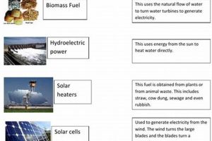 Renewable & Nonrenewable Energy Worksheet Guide Renewable Energy Solutions for a Sustainable Future | Clean & Green Power Renewable & Nonrenewable Energy Worksheet Guide | Renewable Energy Solutions for a Sustainable Future | Clean & Green Power