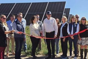 Get Federal Renewable Energy Grants: A Guide Renewable Energy Solutions for a Sustainable Future | Clean & Green Power Get Federal Renewable Energy Grants: A Guide | Renewable Energy Solutions for a Sustainable Future | Clean & Green Power