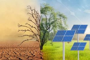 How Does Renewable Energy Affect Climate Change Renewable Energy Solutions for a Sustainable Future | Clean & Green Power How Does Renewable Energy Affect Climate Change | Renewable Energy Solutions for a Sustainable Future | Clean & Green Power