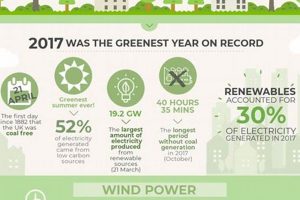 Top 5 Facts About Renewable Energy: A Guide Renewable Energy Solutions for a Sustainable Future | Clean & Green Power Top 5 Facts About Renewable Energy: A Guide | Renewable Energy Solutions for a Sustainable Future | Clean & Green Power