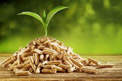 Are Wood Pellets Truly Renewable Energy? Renewable Energy Solutions for a Sustainable Future | Clean & Green Power Are Wood Pellets Truly Renewable Energy? | Renewable Energy Solutions for a Sustainable Future | Clean & Green Power